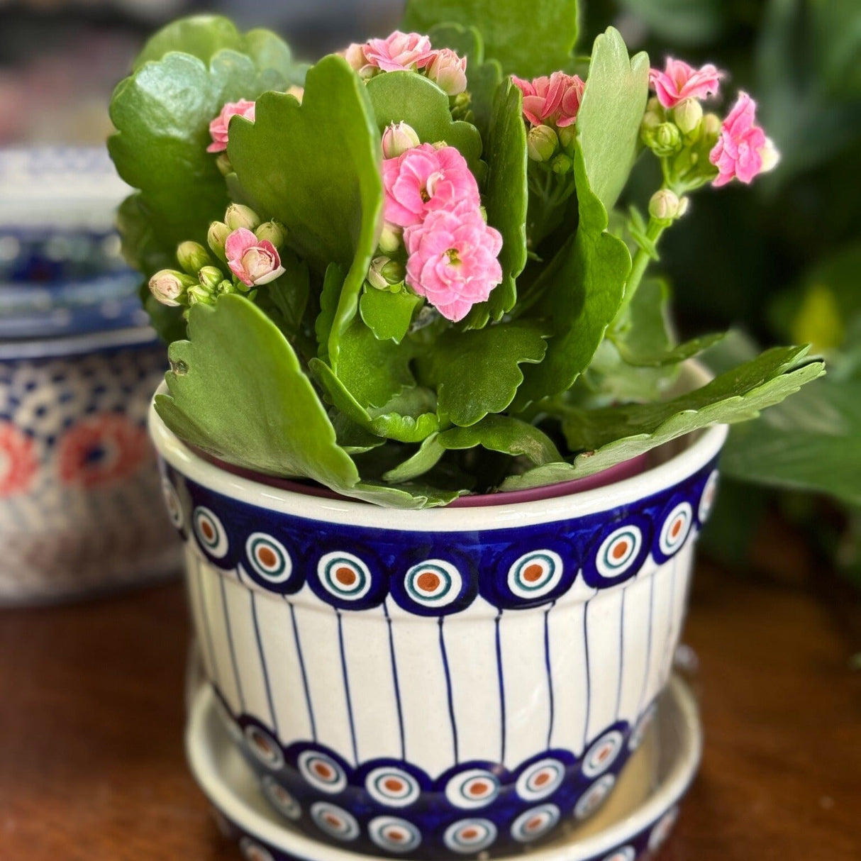 Flower Pot, with Saucer, 6" in "Peacock in Line" by Manufaktura | D036T-54A