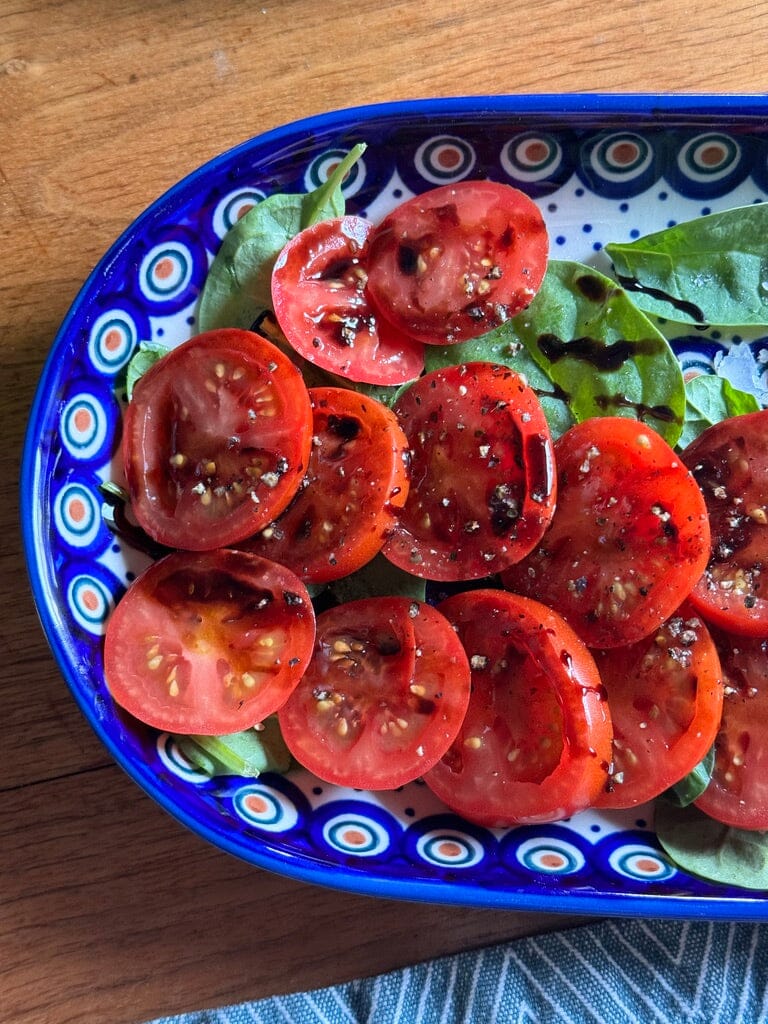 Plate, Roaster, Oval, 7"x11" in "Peacock Dot" by Manufaktura | P099U-54K