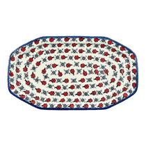 10.5" x 18.5" Angular Tray (Lovely Ladybugs) | NDA333-18