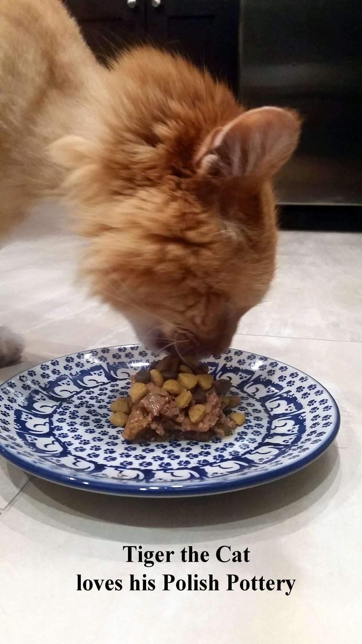 Plate, Round, Dessert, 7.25" in "Kitty Cat Path" by Manufaktura | T131T-KOT6