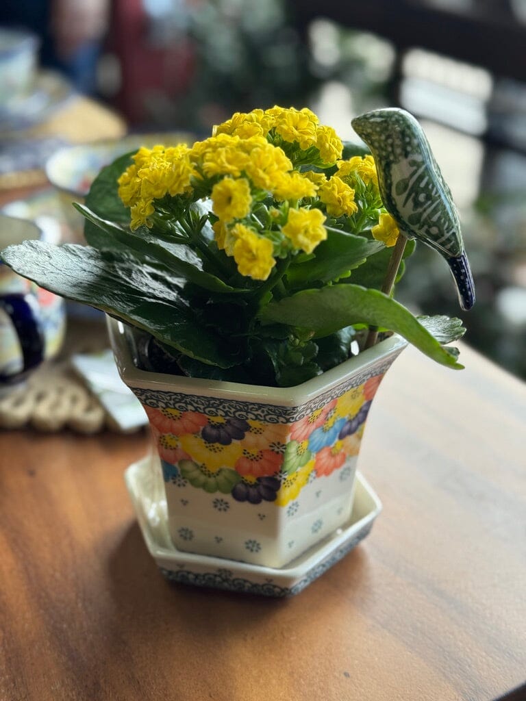 Garderning - Plant Stakes