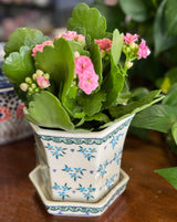 Flower Pot, Hexagonal, 5" Small in "Rainbow Wreath" by Galia | GDN08-UV3