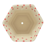 Flower Pot, Hexagonal, 5" Small in "Dotted Reds" by Galia | GDN08-PG3