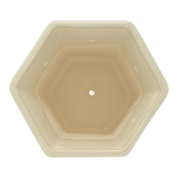 Flower Pot, Hexagonal, 5" Small in "Draping Red Florals" by Galia | GDN08-PW3