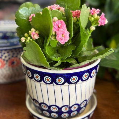 Flower Pot, with Saucer, 6" in "Peacock in Line" by Manufaktura | D036T-54A