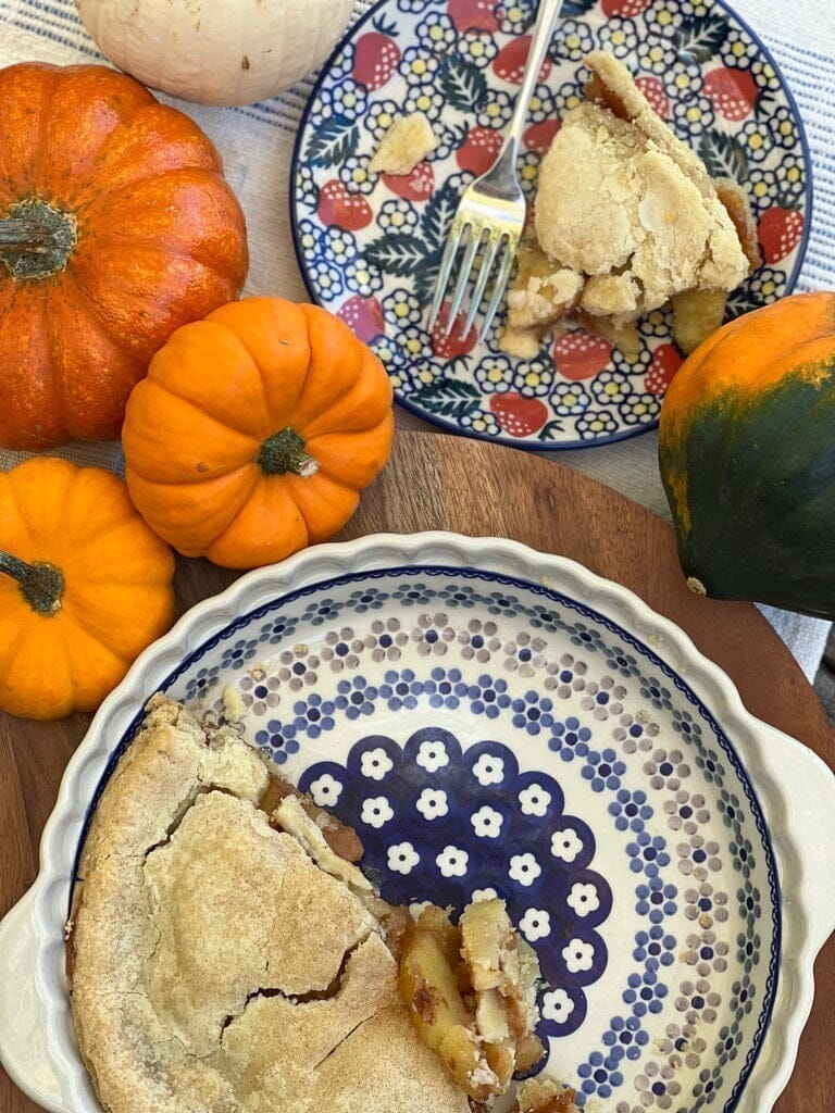 Baker, Round, Pie Plate, Handles, 9.75" in "Scattered Ferns" by Manufaktura | Z148S-GZ39