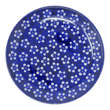 Plate, Round, Salad, 8.5" in "Modern Blue" by Manufaktura | T134M-J8KO