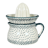Juicer, Juicer w/ Jug, 4.5" in "Misty Green" by Manufaktura | W017U-61Z